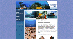 Desktop Screenshot of niuginidive.com